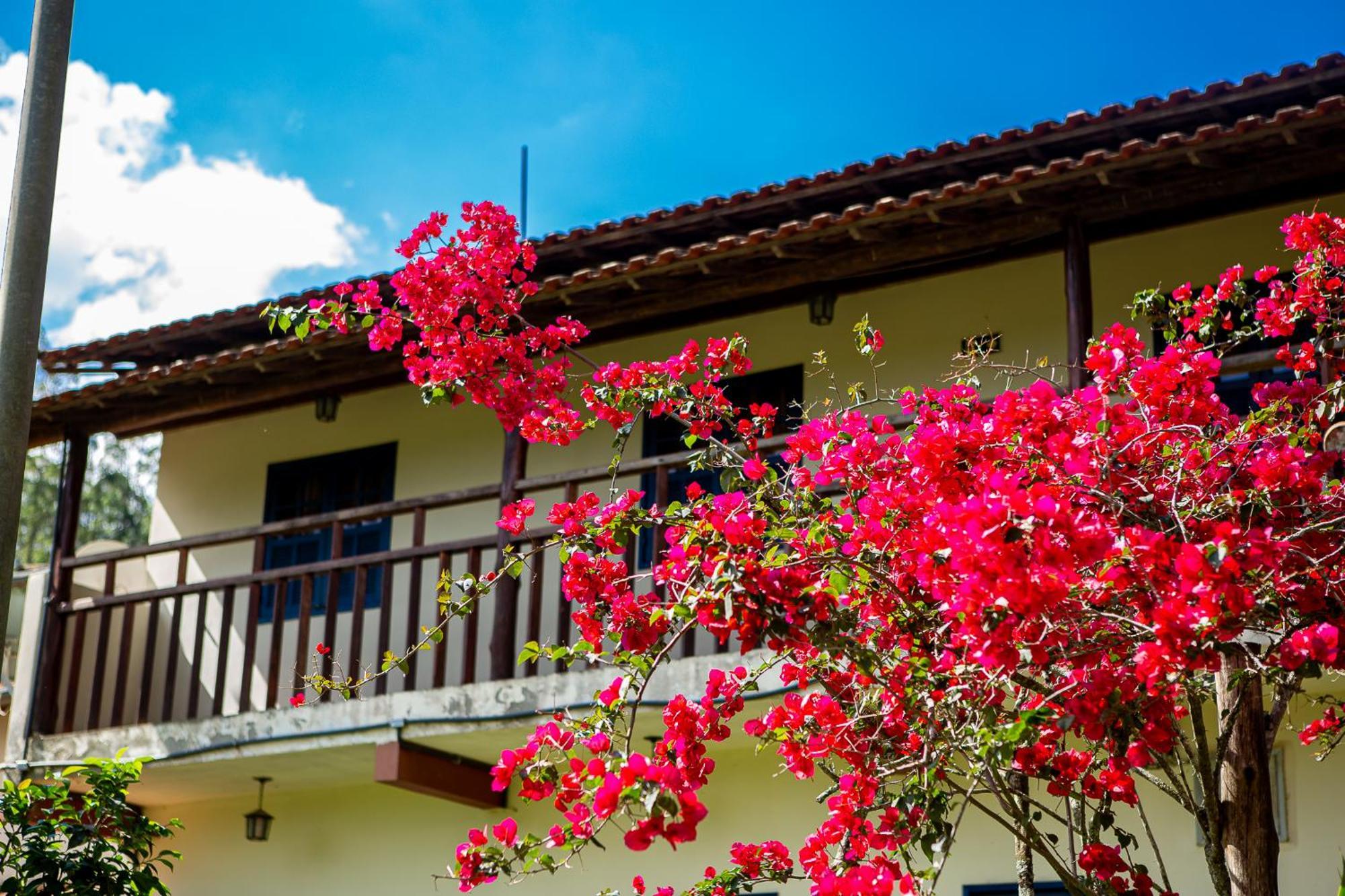 Fazenda Hotel Alvorada Santos Dumont Extérieur photo
